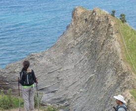 Admiring Flysch